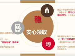 中宏稳盈世家产品开发背景形态亮点目标人群案例预投保流程整合推动方案67页.pptx