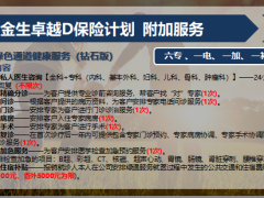 恒安标准幸福金生卓越D产品案例19页.pptx