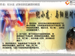 恒安标准绿色通道介绍19页.pptx