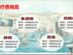 国寿盛世2019开发背景现实需求解决方案开发话术17页.pptx