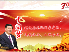国寿康悦C加国寿福康宁组合利益卖点40页.pptx