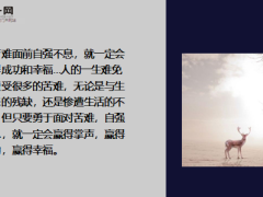 每日鸡汤励志人生吾志所向一往无前.zip