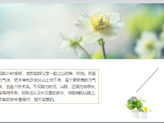 每日正能量不怕慢就怕站6页.ppt