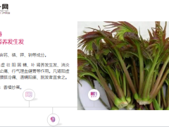 每日健康一种野菜治一种病常吃减肉19页.ppt