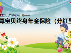 利安人寿至尊宝贝终身年金保险分红型产品介绍1页.pptx