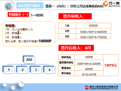 国华人寿晋升收入模型及面谈话术10页.pptx