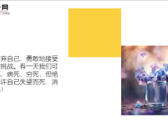 每日鸡汤励志人生有梦想谁都了不起.zip