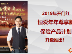 恒安标准恒爱年年尊享版保险产品计划10页用wps或者2007打开.ppt