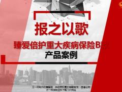恒安标准臻爱倍护重大疾病保险B款产品案例13页.pptx