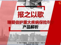 恒安标准臻爱倍护重大疾病保险B款产品形态特征解析26页.pptx