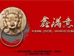 太平洋鑫满意年金保险产品形态亮点特别回馈81页.ppt