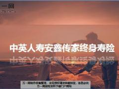 中英人寿安鑫传家终身寿险产品特色形态责任市场定位利益23页.ppt