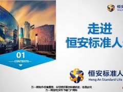 恒安标准人寿公司介绍48页.ppt