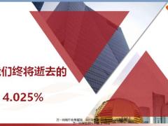 4.025对业内消费者意味着什么32页.pptx