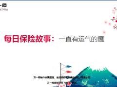 每日保险故事一直有运气的鹰7页.ppt