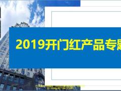 新华人寿健康守护神组合A款B款案例演示解析13页.ppt