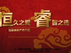 恒安标准恒爱睿赢理念产品介绍36页.ppt