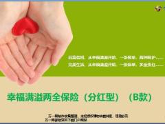 恒安标准幸福满溢B款背景产品形态卖点解析案例分析35页.pptx