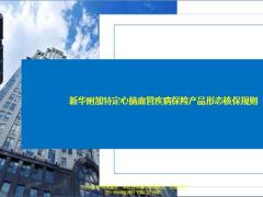 新华附加特定心脑血管疾病保险产品形态核保规则27页.ppt