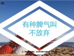 每日鸡汤励志人生有种脾气叫不放弃.zip