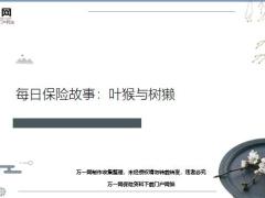 每日保险故事叶猴与树獭6页.ppt