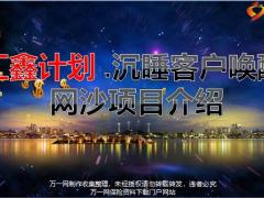 银保沉睡客户唤醒运营网纱项目介绍流程要点40页.pptx