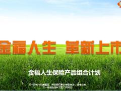 太平洋金福人生保险产品组合计划19页.pptx