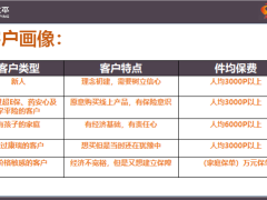 太平人寿福禄嘉倍亮点解析客户画像销售流程20页.pptx