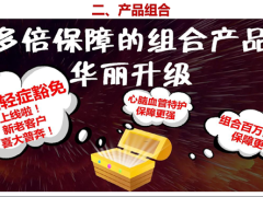 新华多倍保障产品组合产品责任摘要优势14页.pptx