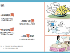 太平共享荣耀医疗保险产品特色形态投保示例19页.pptx