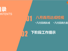 2019年七月前线经营分析报告52页.pptx