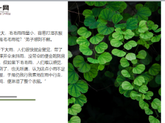 每日正能量打湿的人生6页.ppt