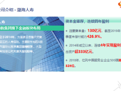 渤海嘉乐保重疾险公司介绍背景产品形态竞品分析亮点总结16页.pptx