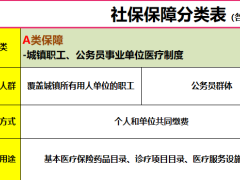 太平人寿药安心四表工具4页.xlsx