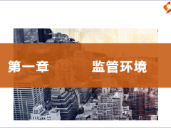 保险公司监管环境过程结果管理案例展示30页.pptx
