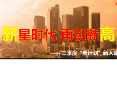 三季度星计划新人津贴政策介绍收入模型荣誉体系规则说明太平版34页.pptx