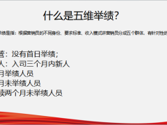 五维举绩概述面谈梳理22页.pptx