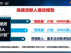 2019星计划高绩效新人决定性面谈操作要点太平版20页.pptx