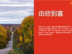 2019年保险业发展趋势数字化转型化危为机11页.pptx