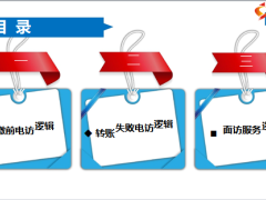 续期客户电面访服务逻辑24页.pptx