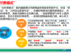 政保工作模式准备启动入村阶段介绍43页.pptx