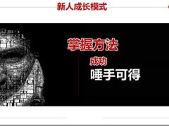 新人成长模式四合一营销模式35页.pptx