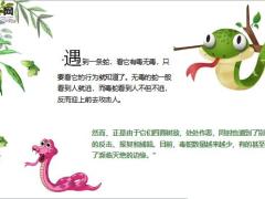 每日保险故事毒蛇自毙的启示6页.ppt