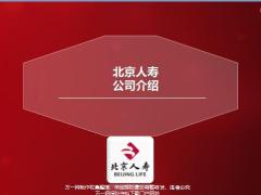 北京人寿公司介绍2019版8页.pptx