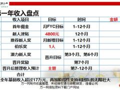 国寿组晋组盈利收入净增模型D版11页.pptx