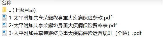 太平附加共享荣耀终身重大疾病保险条款费率运营规则.zip