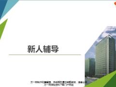 新人辅导的重要性基本要素逻辑含备注37页.pptx