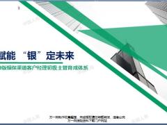 银保客户经理初级主管育成体系设计背景内容概述推进要求29页.pptx