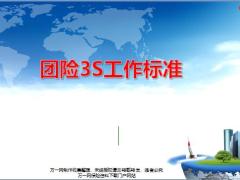 团险3S标准标准及工作结构关系内容意义51页.ppt