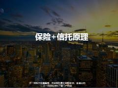 保险加信托原理形态原理功用案例39页.ppt